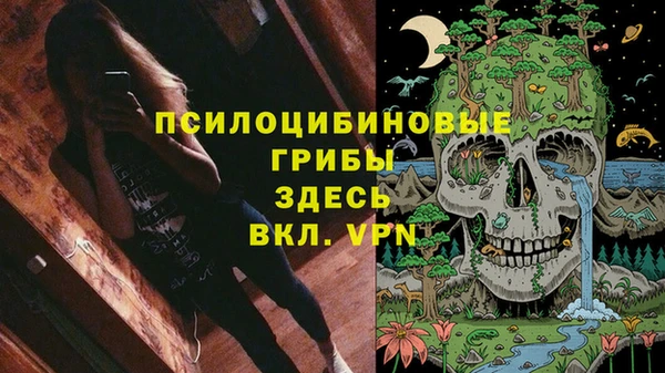 таблы Алексин