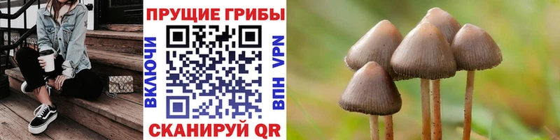 Галлюциногенные грибы MAGIC MUSHROOMS  Кашин 