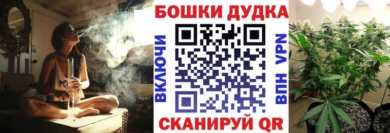 дарк нет как зайти  купить закладку  Кашин  Шишки марихуана THC 21% 